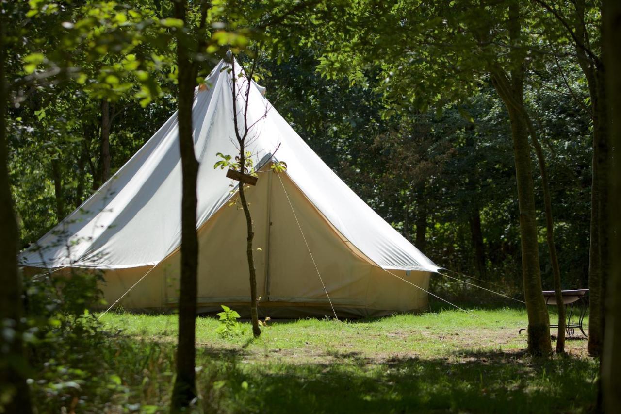 South Barrow Dgg Woodland Escape酒店 外观 照片