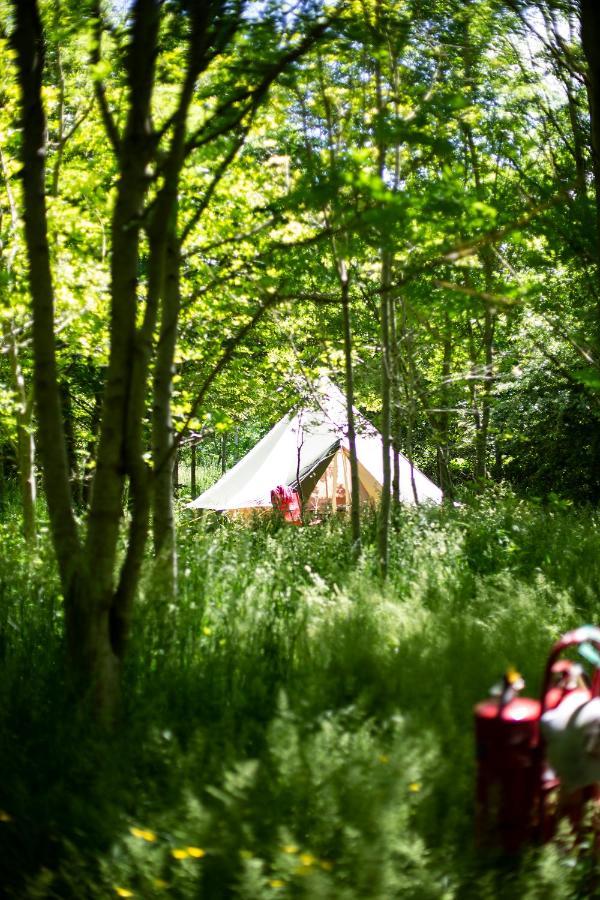 South Barrow Dgg Woodland Escape酒店 外观 照片