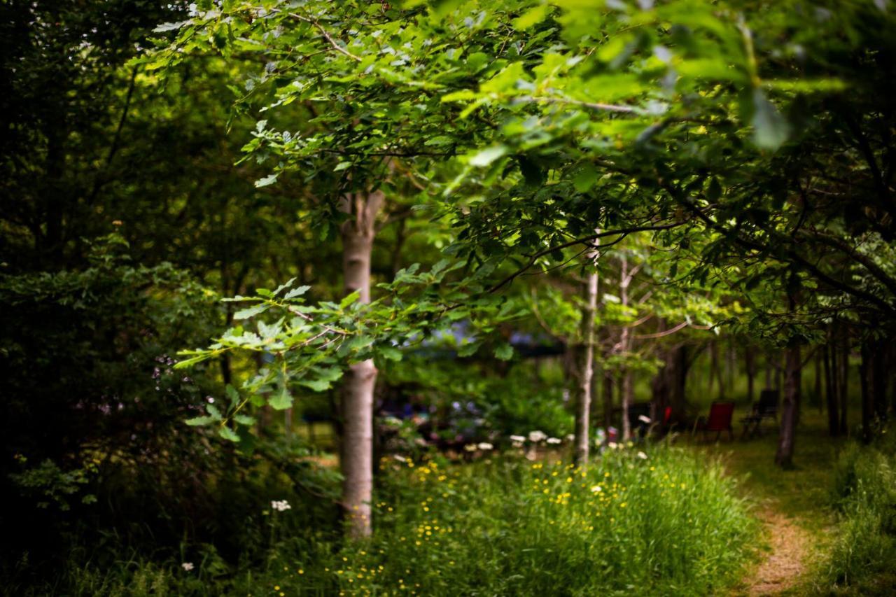 South Barrow Dgg Woodland Escape酒店 外观 照片