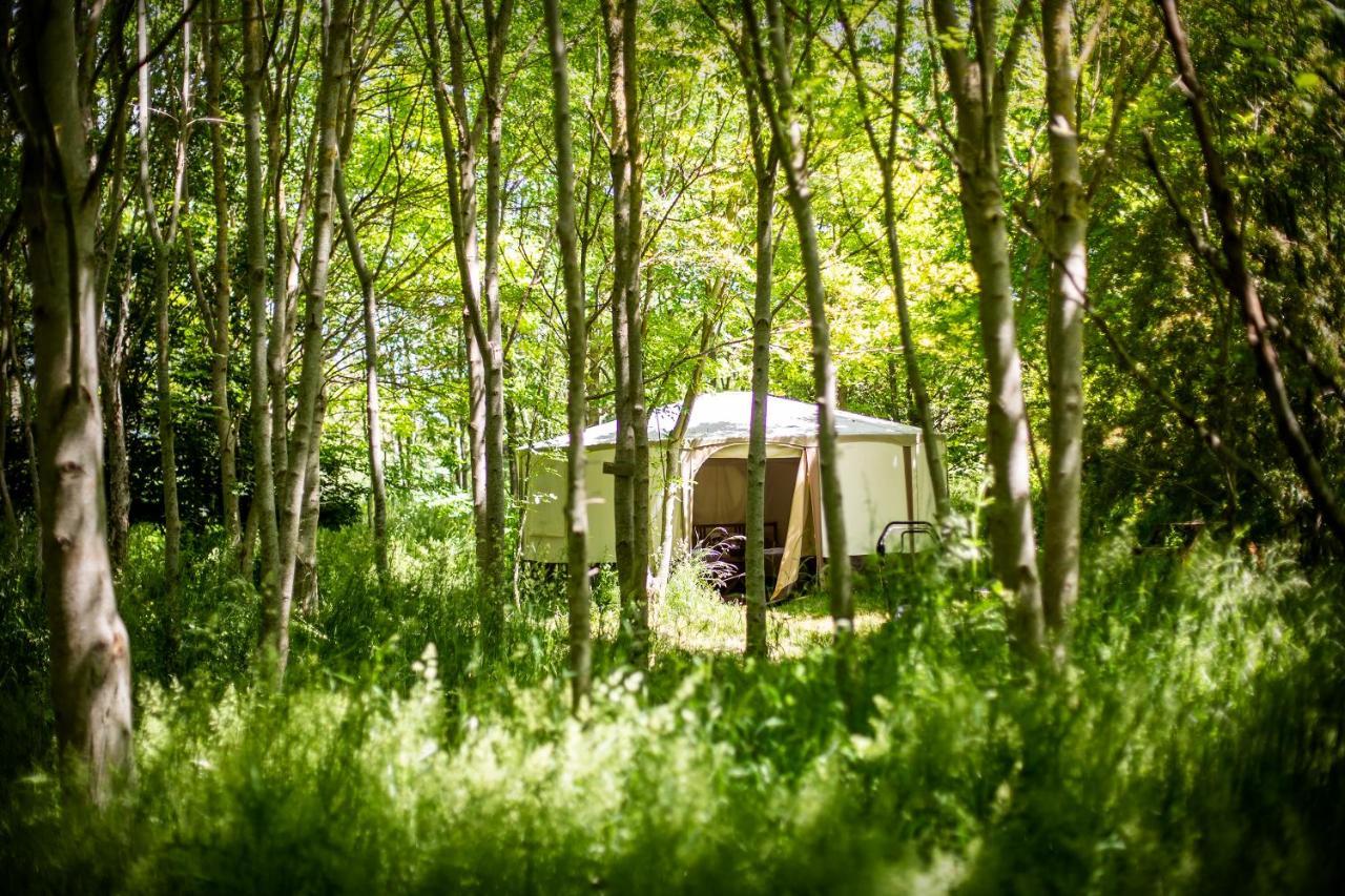 South Barrow Dgg Woodland Escape酒店 外观 照片