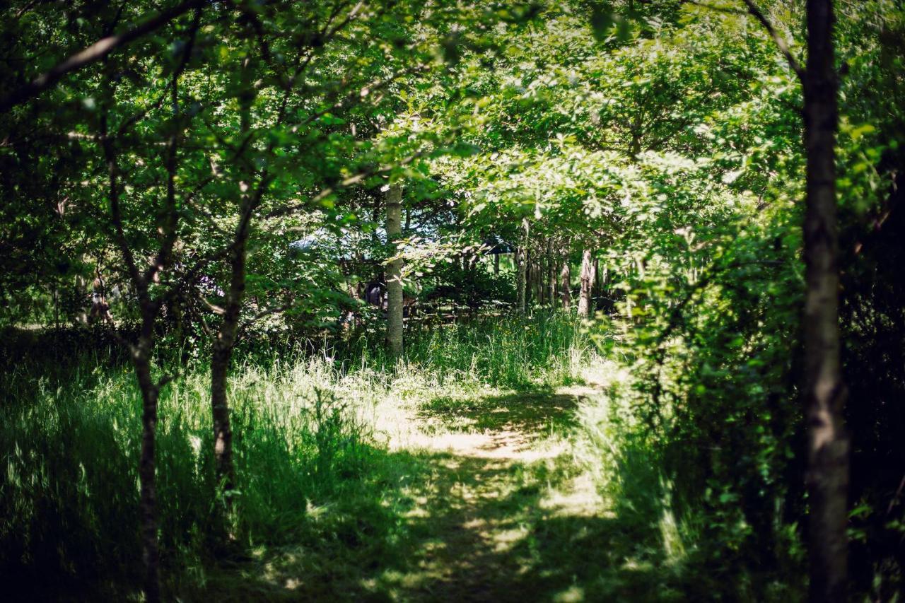 South Barrow Dgg Woodland Escape酒店 外观 照片