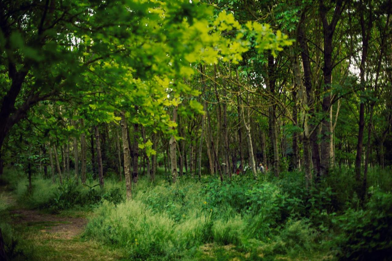 South Barrow Dgg Woodland Escape酒店 外观 照片