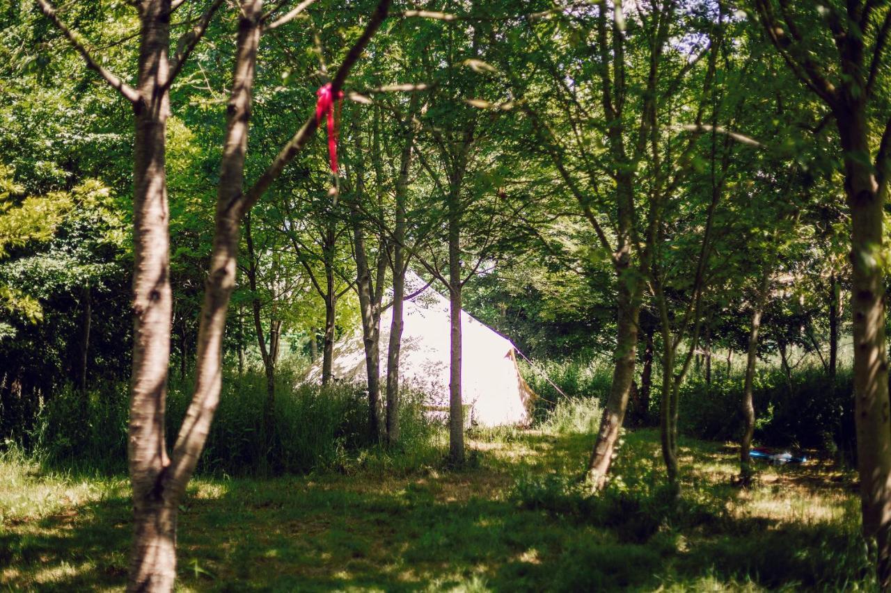 South Barrow Dgg Woodland Escape酒店 外观 照片