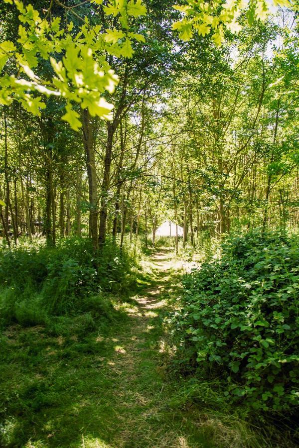 South Barrow Dgg Woodland Escape酒店 外观 照片