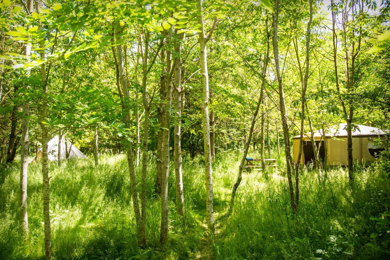 South Barrow Dgg Woodland Escape酒店 外观 照片