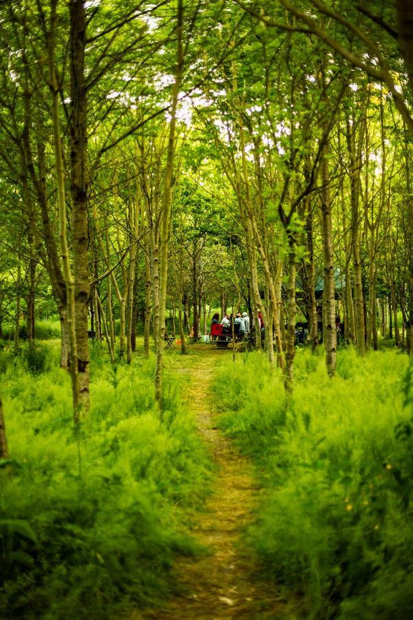 South Barrow Dgg Woodland Escape酒店 外观 照片